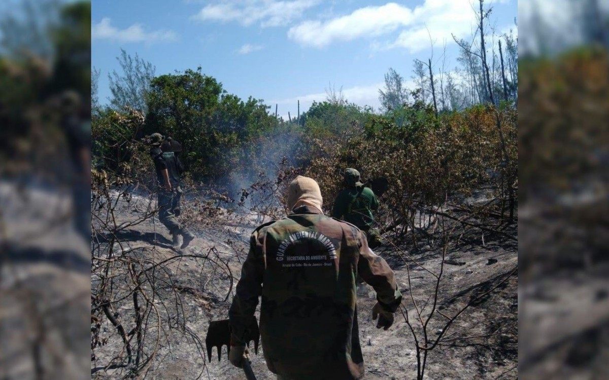 &Aacute;rea destru&iacute;da &eacute; equivalente a cinco campos de futebol, informou a Prefeitura