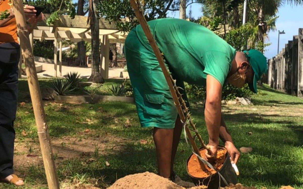 Plantios do Dia da Terra