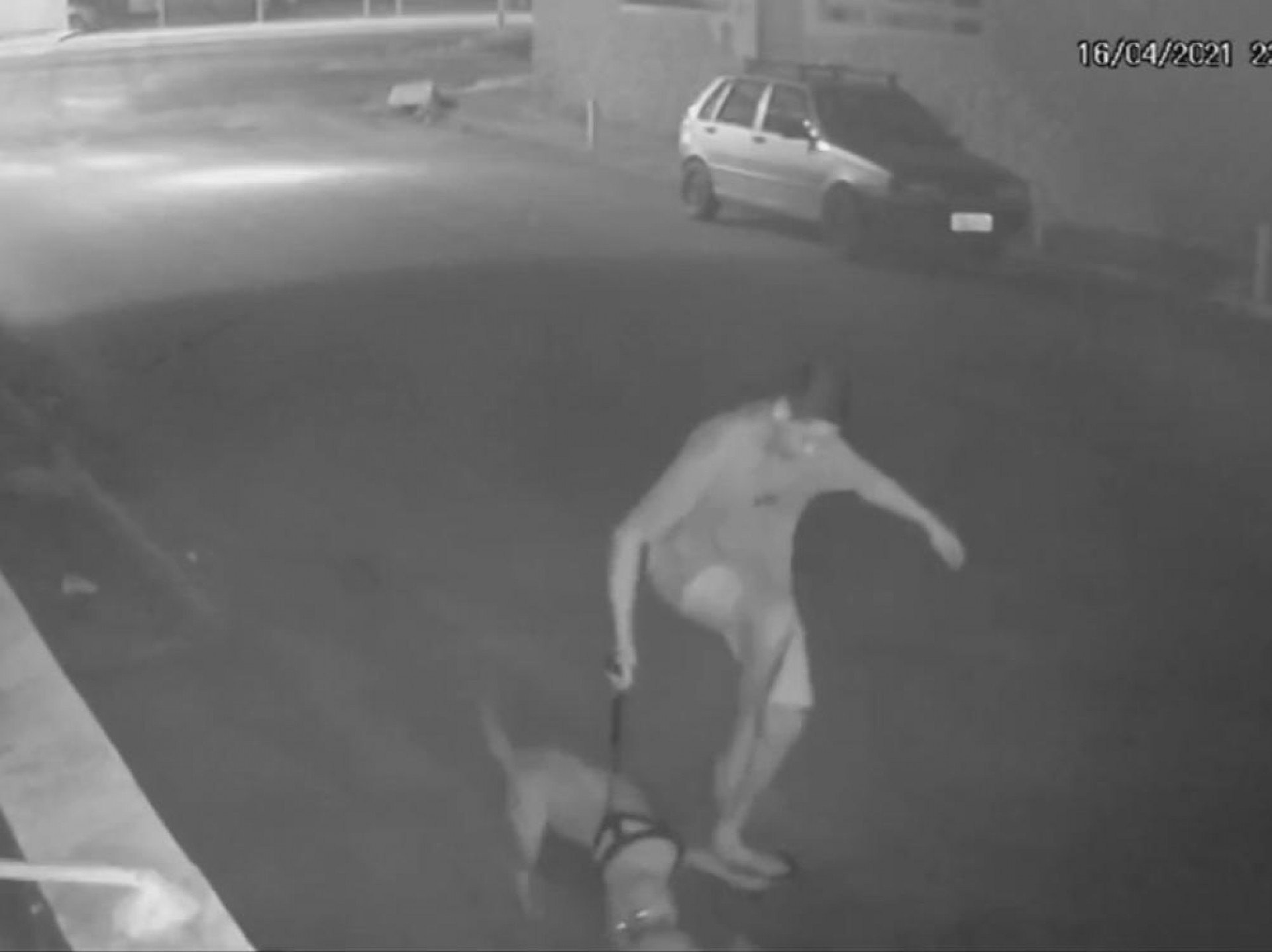 Jovem solta Pitbull para matar gato em S&atilde;o Pedro da Aldeia