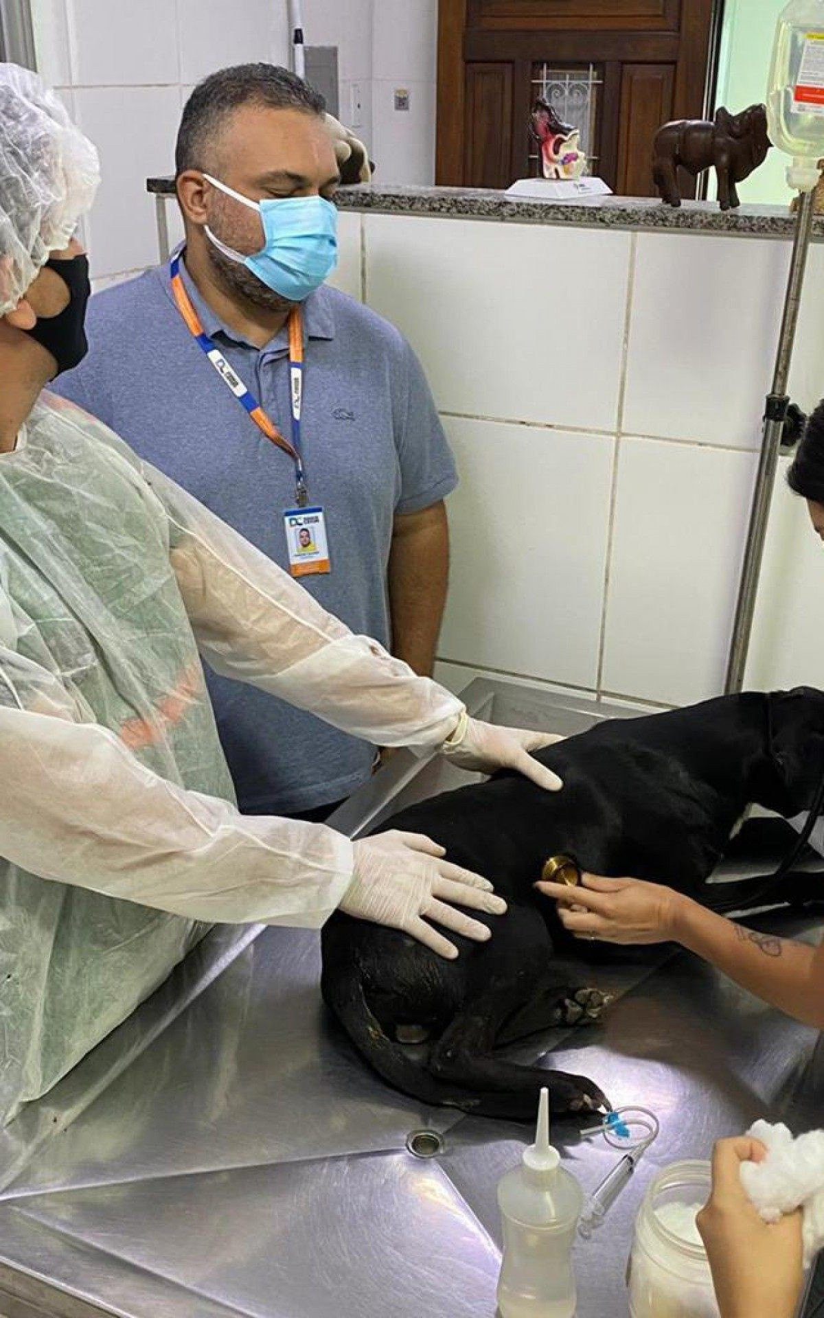 Prefeitura de Duque de Caxias cria programa de resgate animal