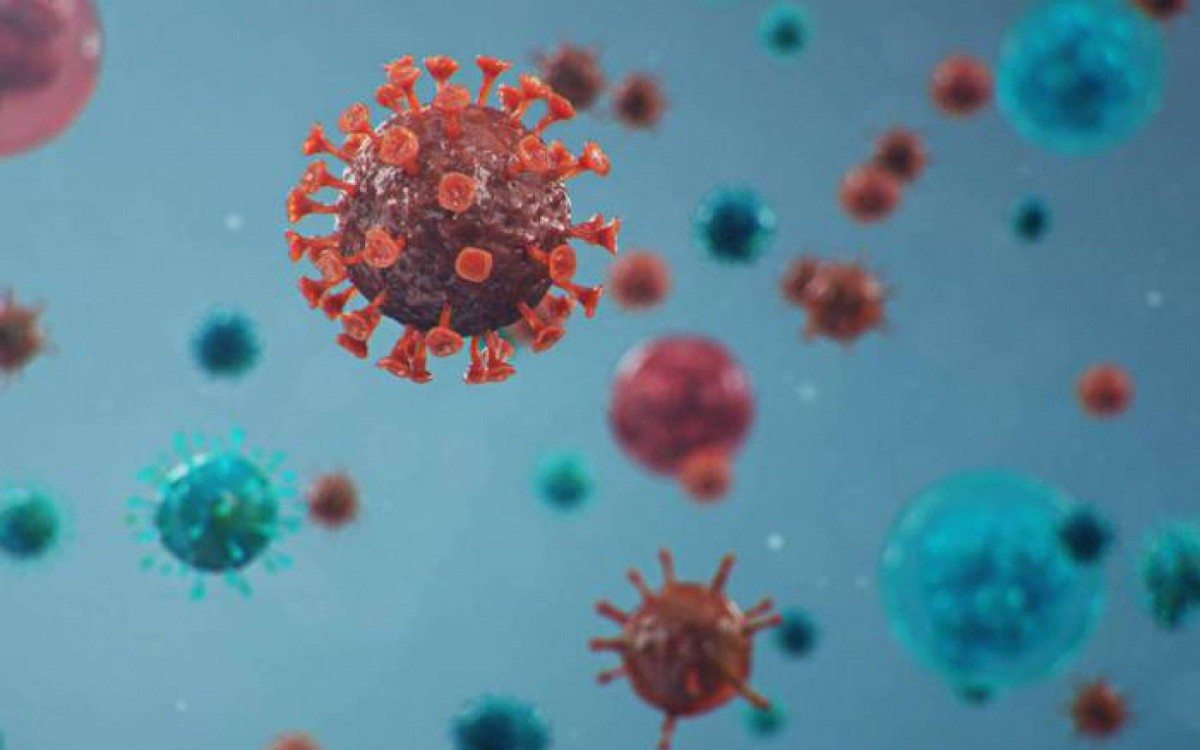 Dados coronav&iacute;rus em Meriti