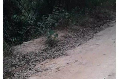 Cabeça humana é encontrada dentro de sacola em ponto de ônibus