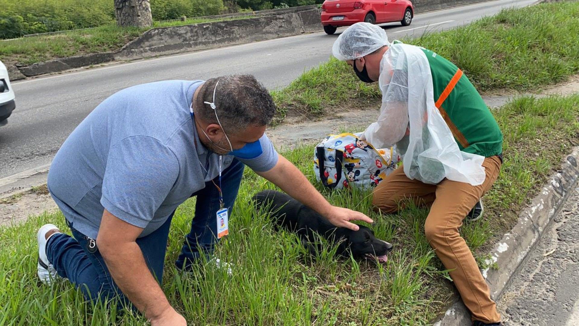 Prefeitura de Duque de Caxias cria programa de resgate animal - Divulga&ccedil;&atilde;o