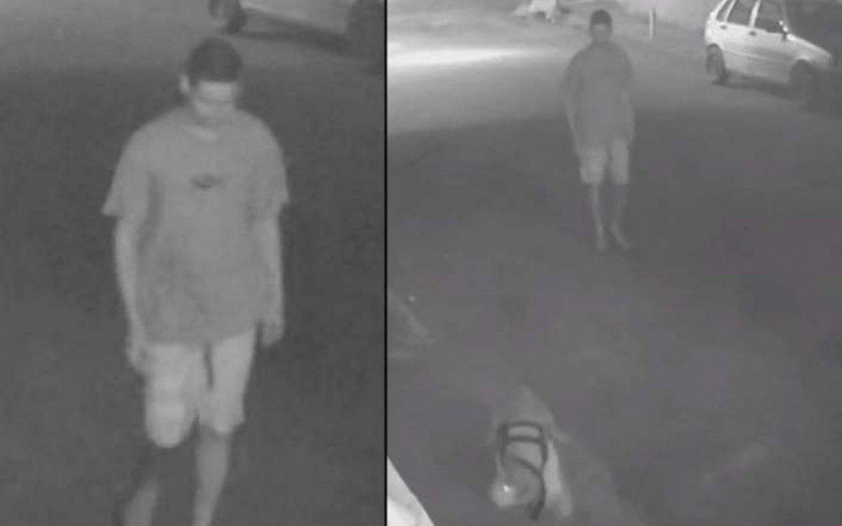 O tutor caminha calmamente at&eacute; o c&atilde;o, pisoteia e chuta os dois animais, para dar fim ao ataque. O Pitbull finalmente solta o gato, que sai correndo para morrer