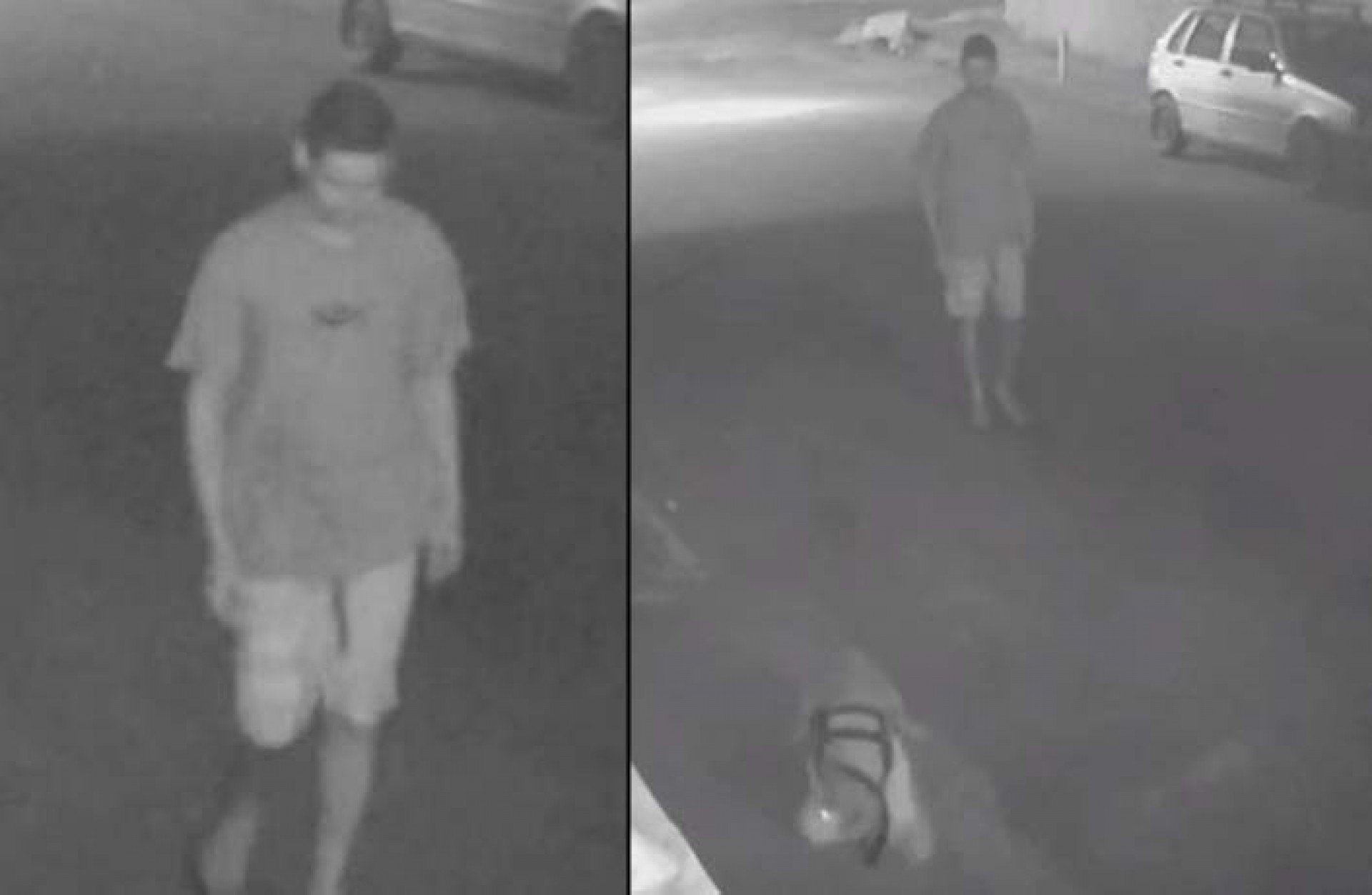 Polícia identifica jovem que soltou Pitbull para atacar gato em São Pedro da Aldeia