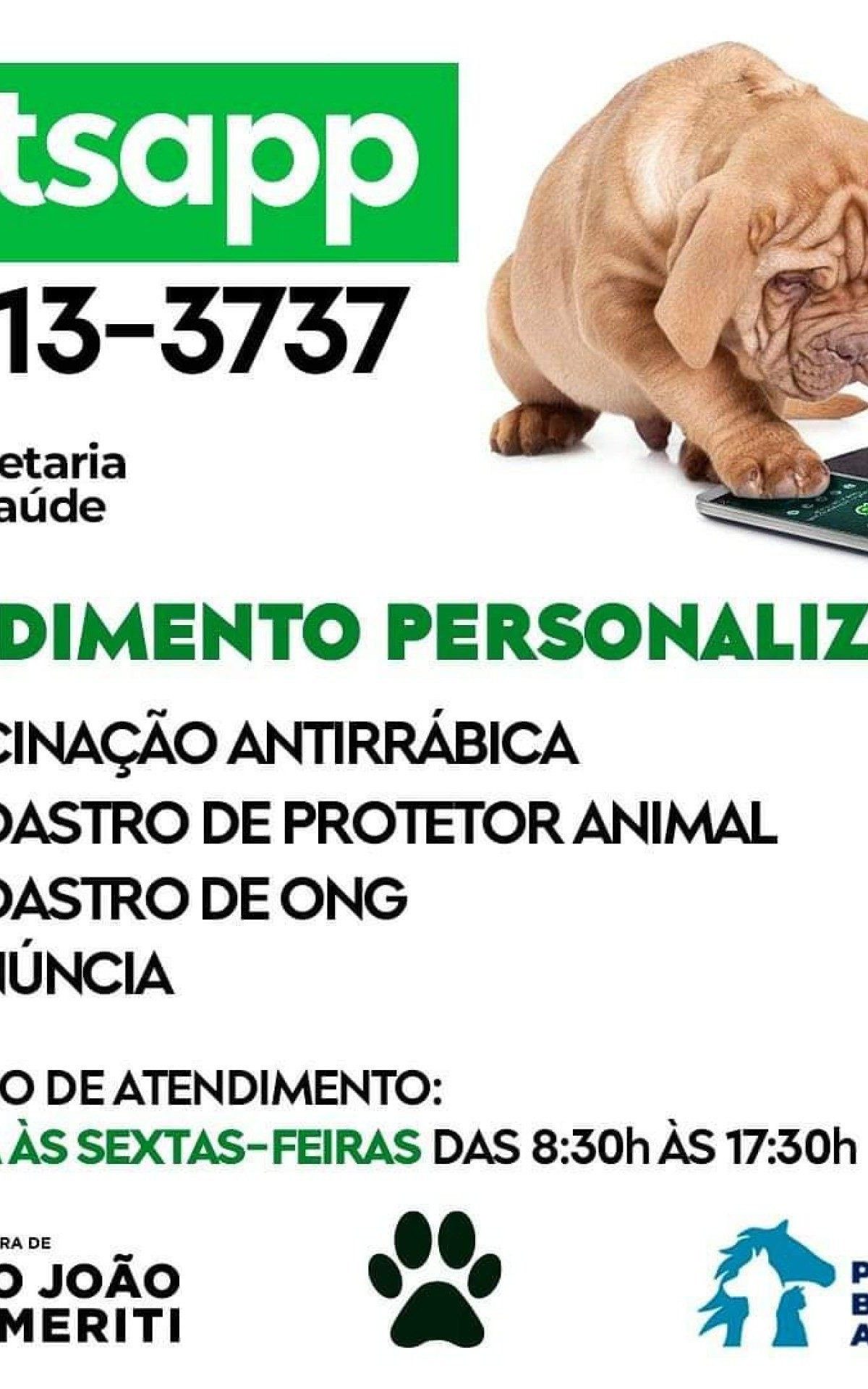 o PetsApp funciona atrav&eacute;s do telefone 99813-3737 na plataforma WhatsApp