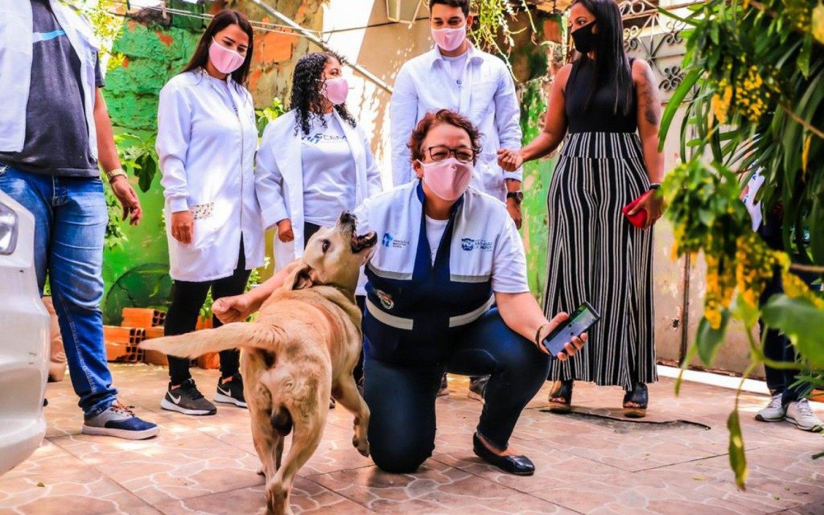 O projeto Vacina&ccedil;&atilde;o Antirr&aacute;bica em Casa, que atende donos ou protetores que possuam 10 ou mais animais, j&aacute; imunizou mais de 400 pets na cidade