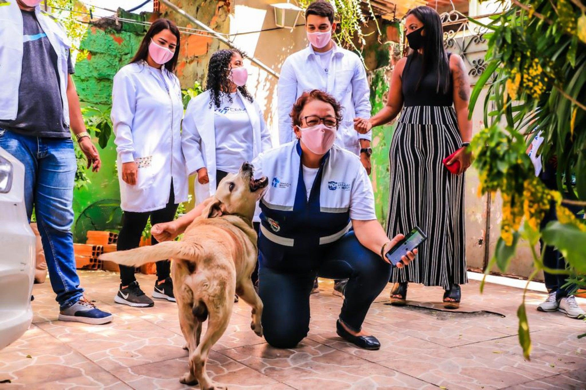 PetsApp: canal de comunica&ccedil;&atilde;o para protetores e donos de animais apresenta avan&ccedil;o em Meriti