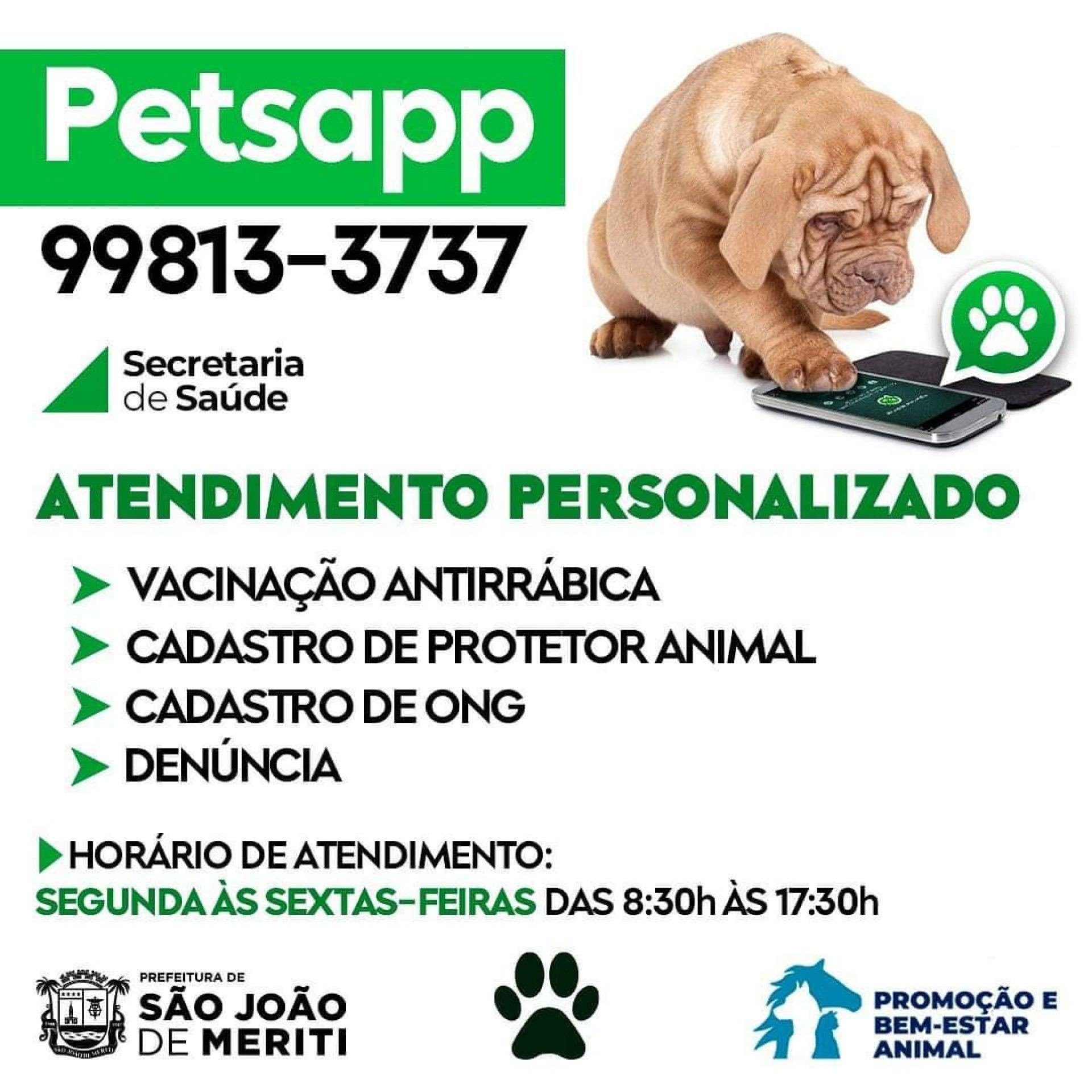 o PetsApp funciona através do telefone 99813-3737 na plataforma WhatsApp - Divulgação