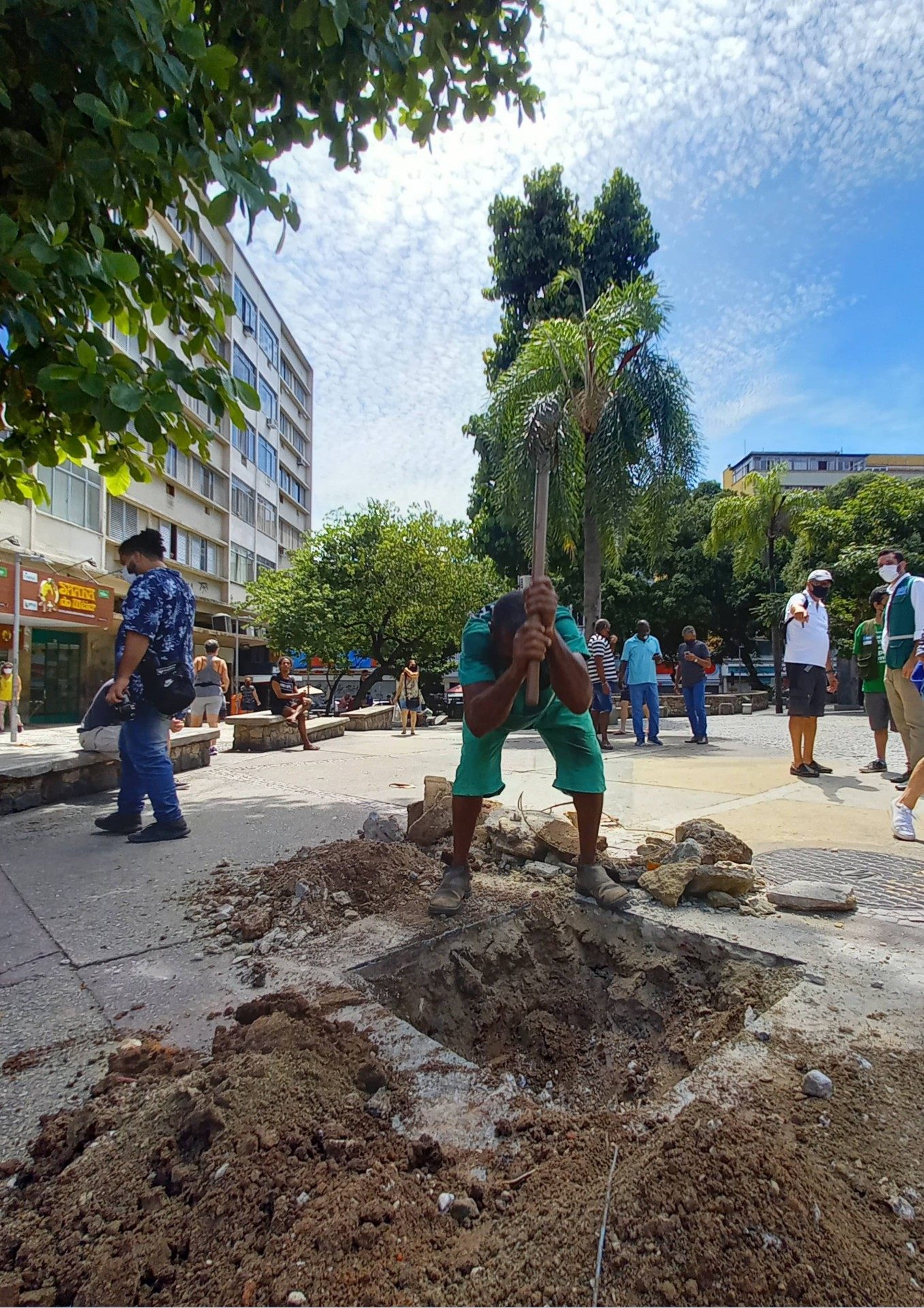Plano Diretor de Arborização Urbana vai priorizar o plantio nas regiões com menores índices de arborização - Divulgação/Fundação Parques e Jardins 