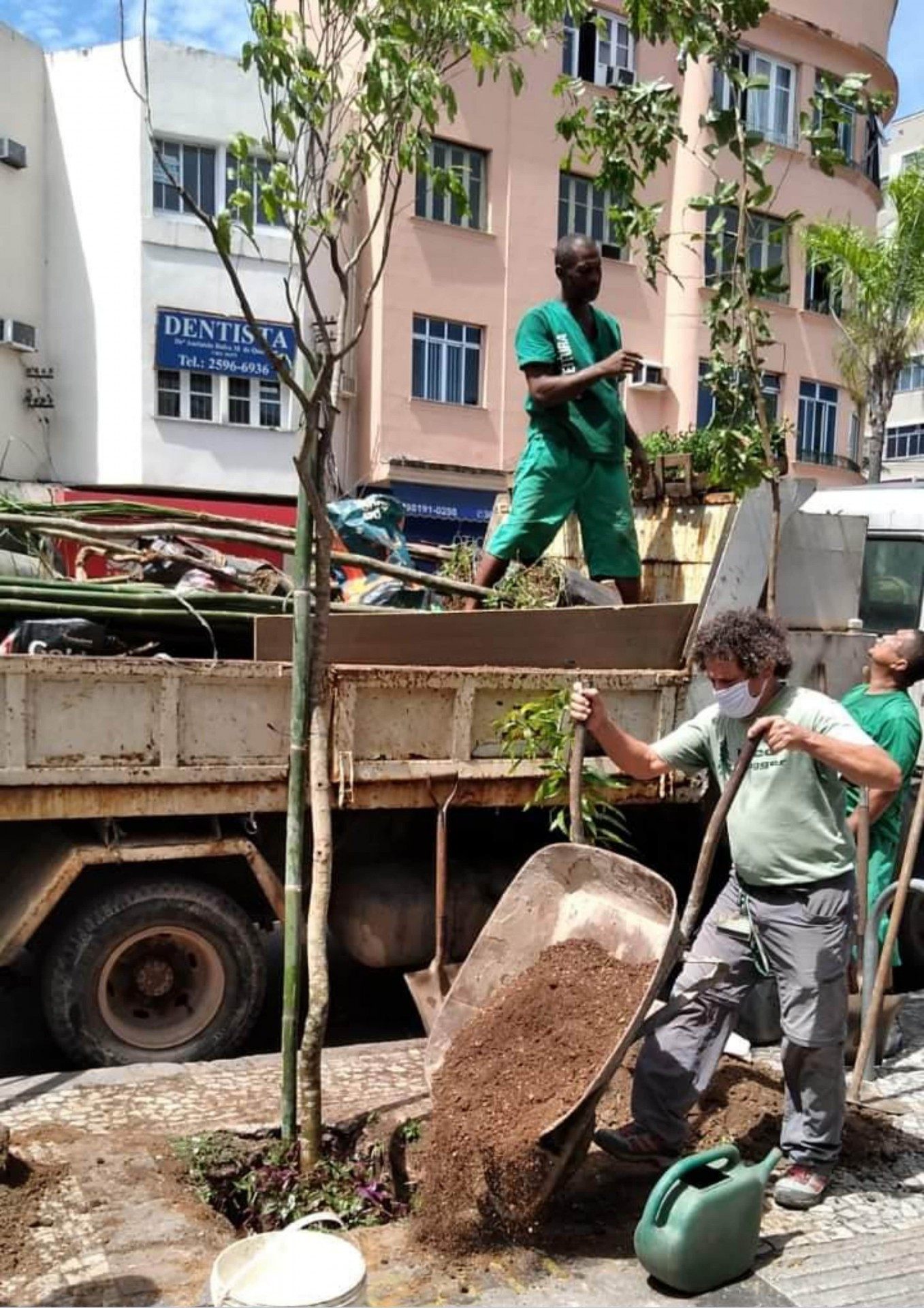 Iniciativa consegue apontar as áreas prioritárias para os plantios - Divulgação/Fundação Parques e Jardins 
