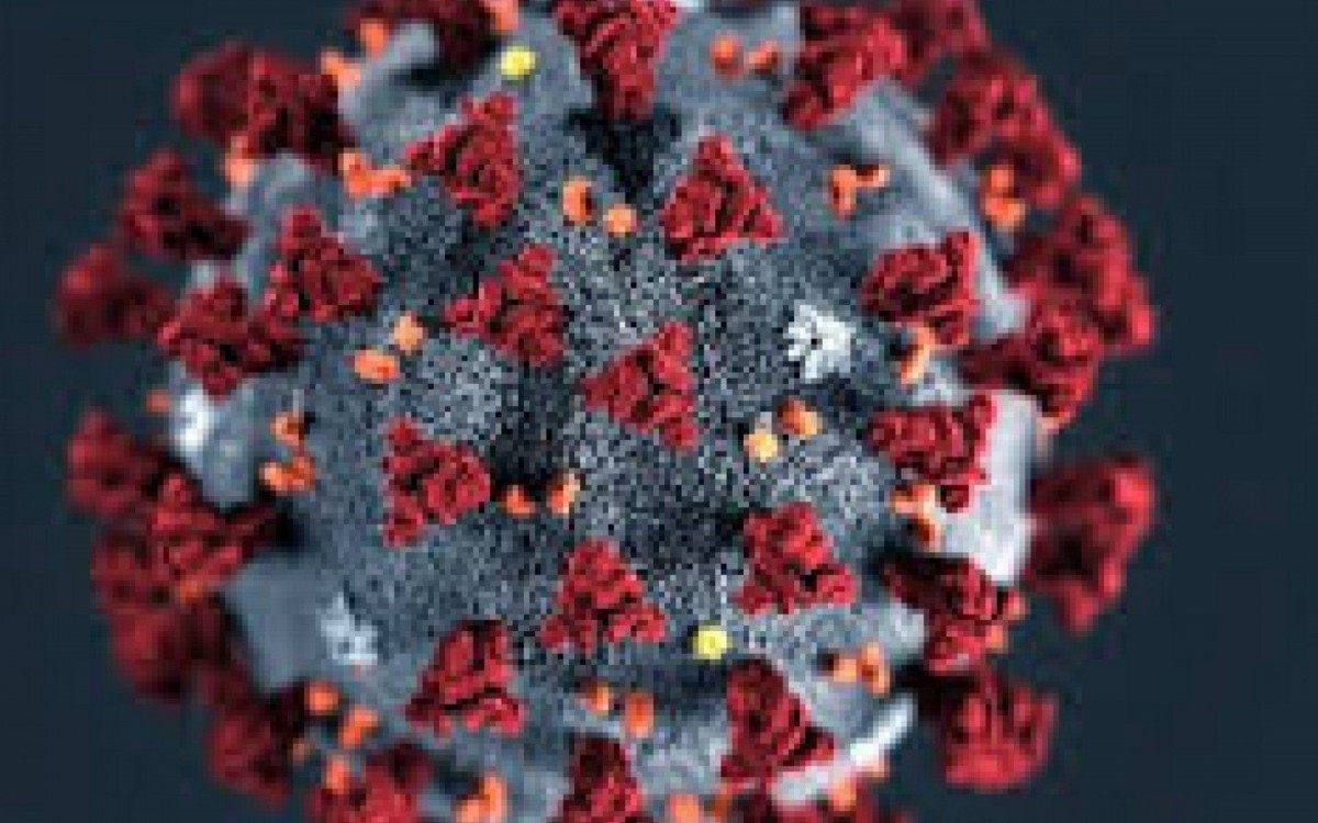 Dados coronav&iacute;rus de Meriti