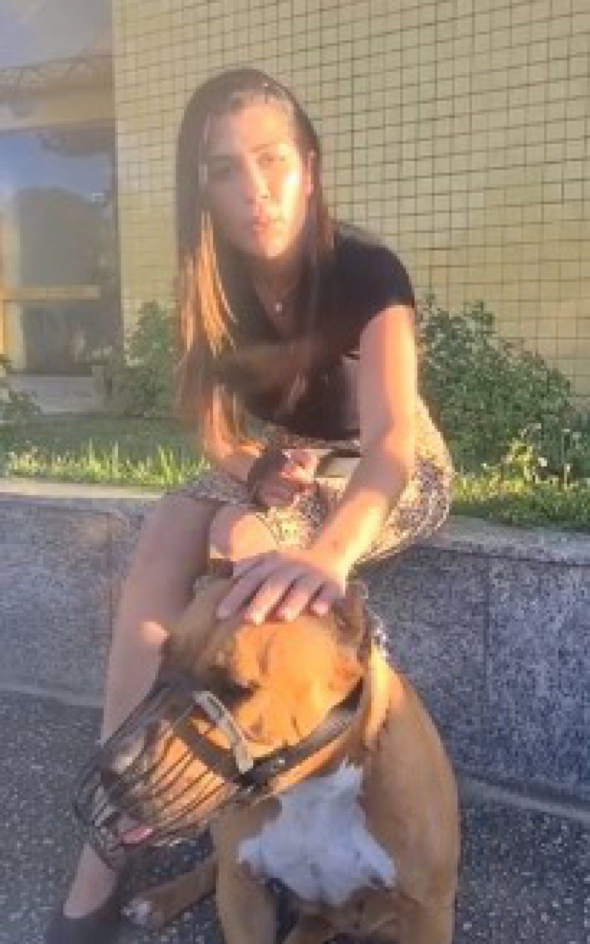 Vereadora Carol Midori assumiu a responsabilidade da cadela