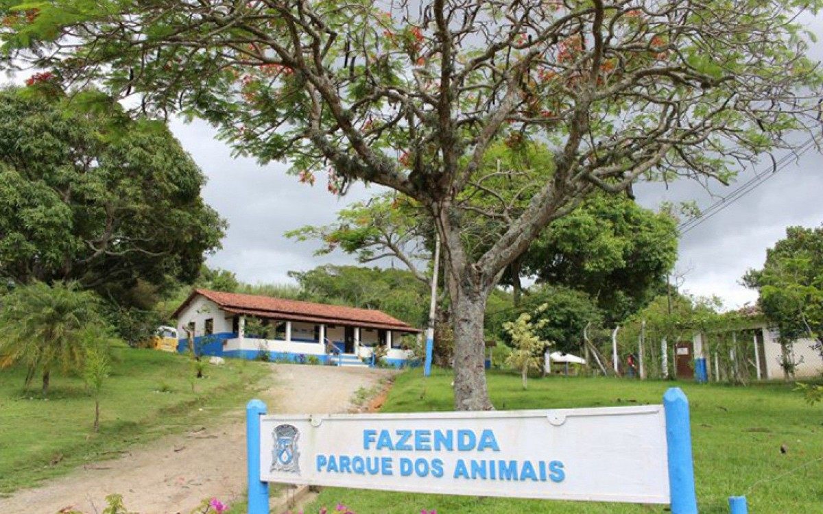 Os atendimentos cl&iacute;nicos s&atilde;o realizados de segunda a sexta, das 8h as 11h