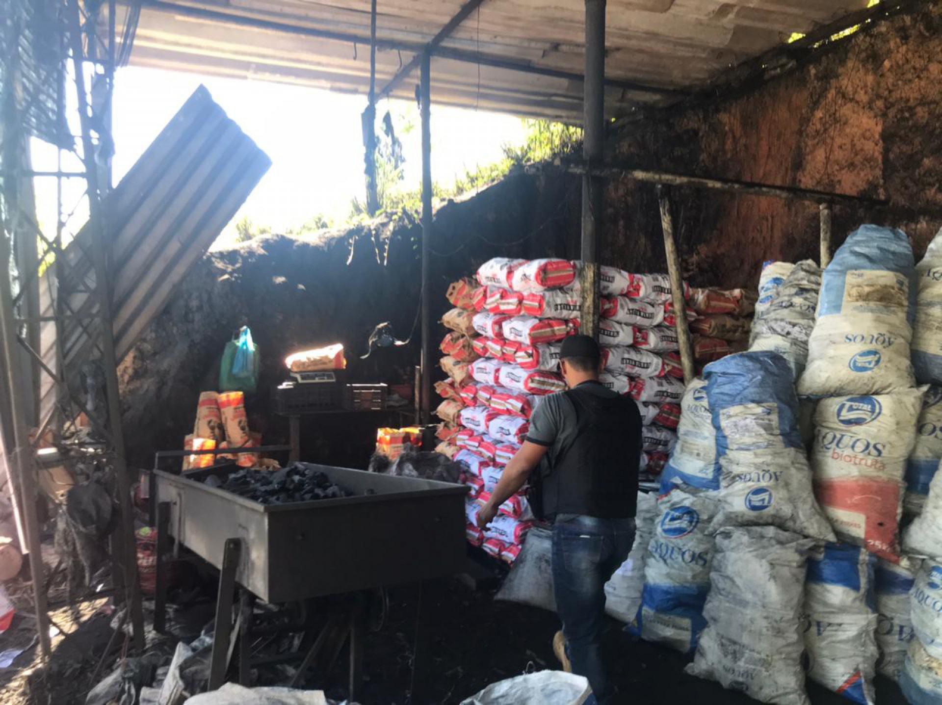 Carvoaria clandestina &eacute; fechada por trabalho escravo e crime ambiental em Itagua&iacute;