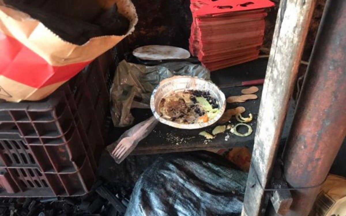 Condi&ccedil;&otilde;es degradantes de trabalho motivaram interdi&ccedil;&atilde;o de carvoaria clandestina em Itagua&iacute;