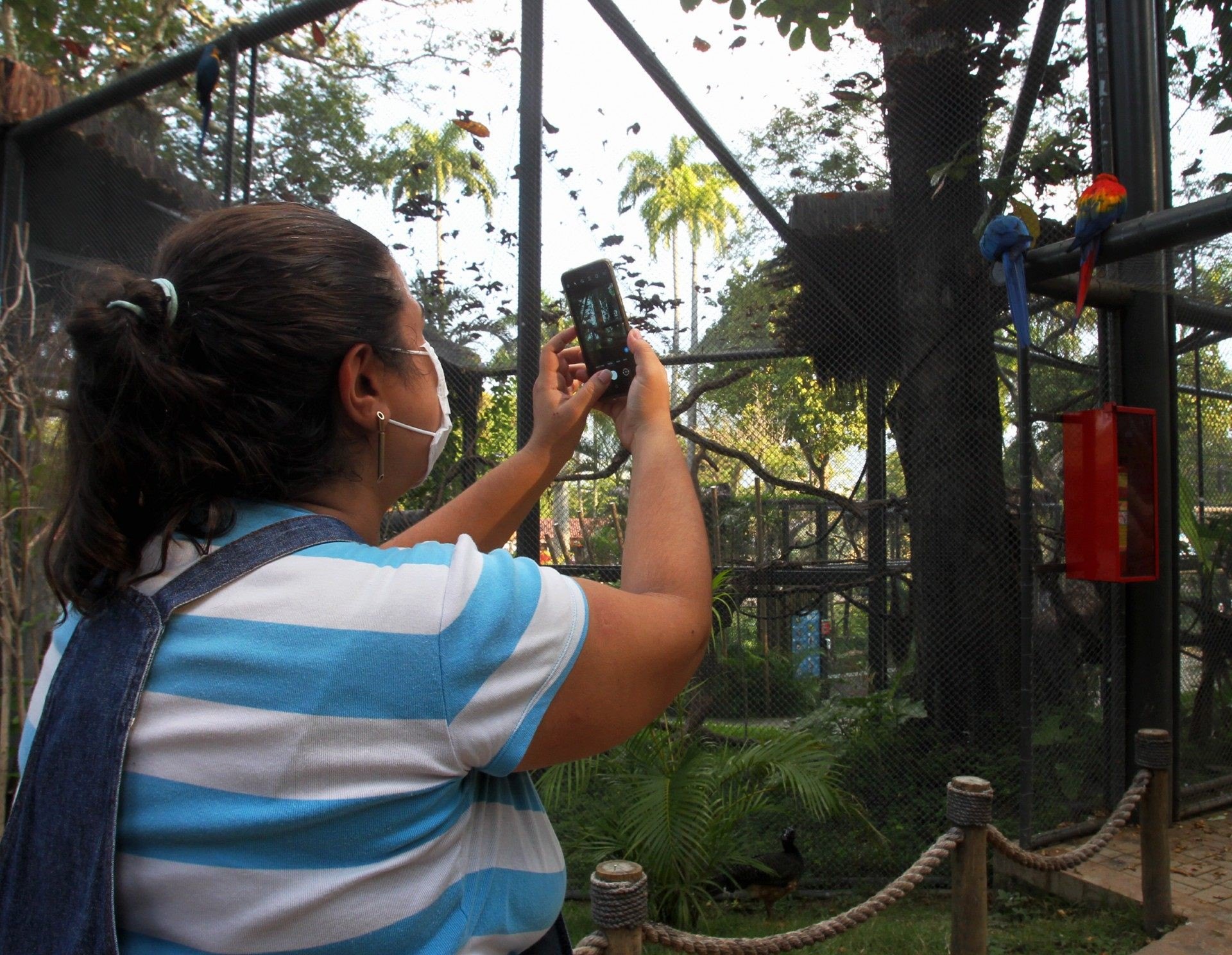 Visitantes se encantam com arara que vem todos os dias visitar as outras que moram em viveiro do Zoo do Rio, na Quinta da Boa vista. - Estefan Radovicz / Agencia O Dia