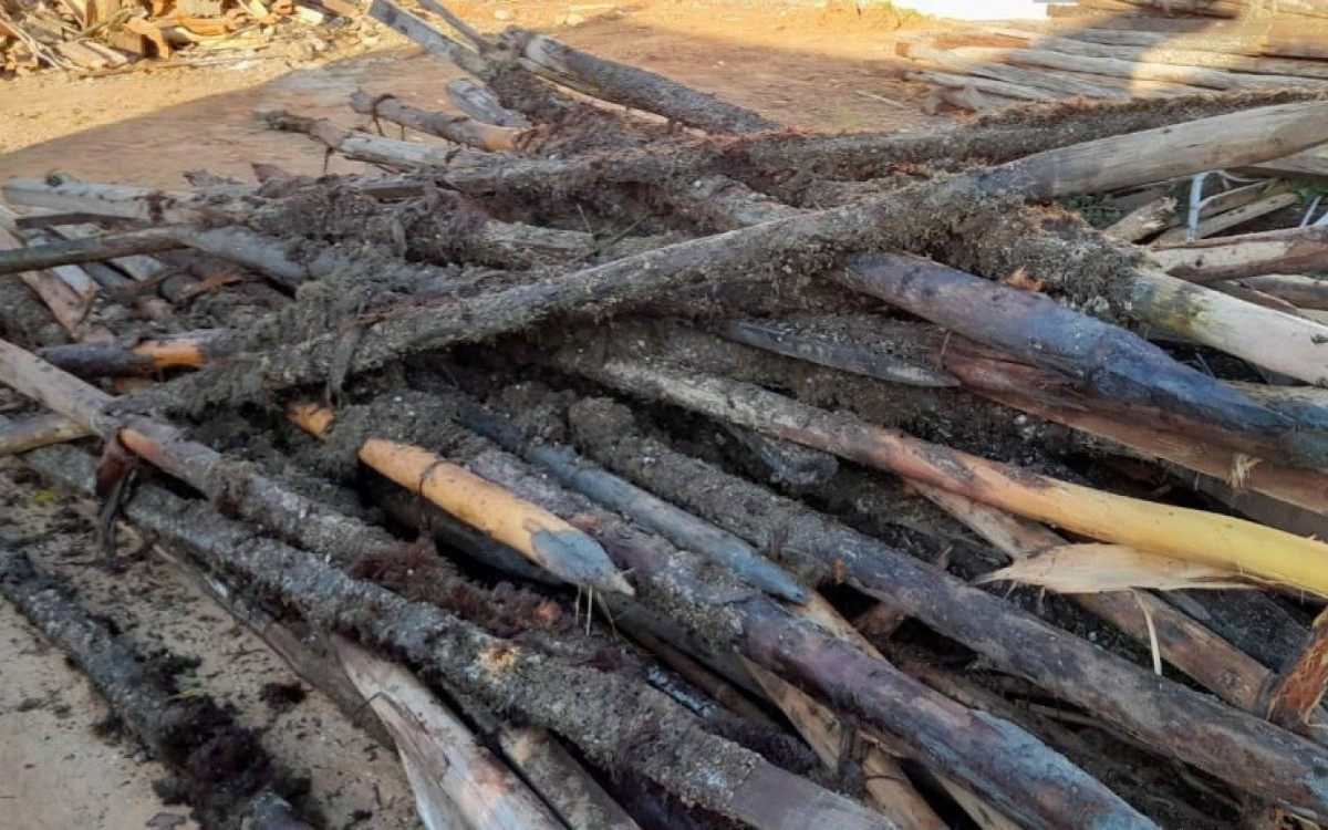 Diversas estacas e redes de uso proibido para pesca do camar&atilde;o foram apreendidas