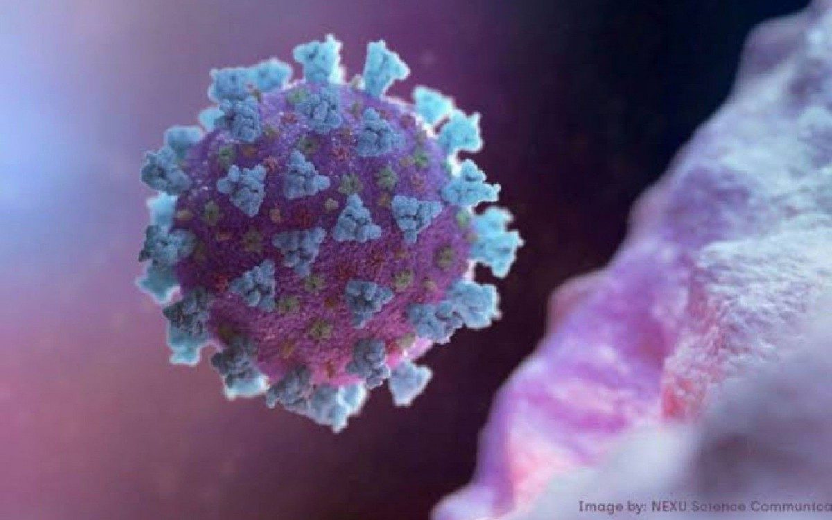 Nova variante da Covid-19, a P2, &eacute; detectada em um morador de Porci&uacute;ncula.
