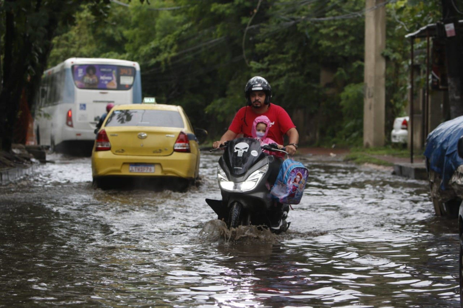 Chuva forte atinge capital e Região Metropolitana; ventania causa queda de árvores