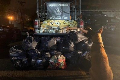 Cadela do BAC é responsável pela maior apreensão da PM em 2021