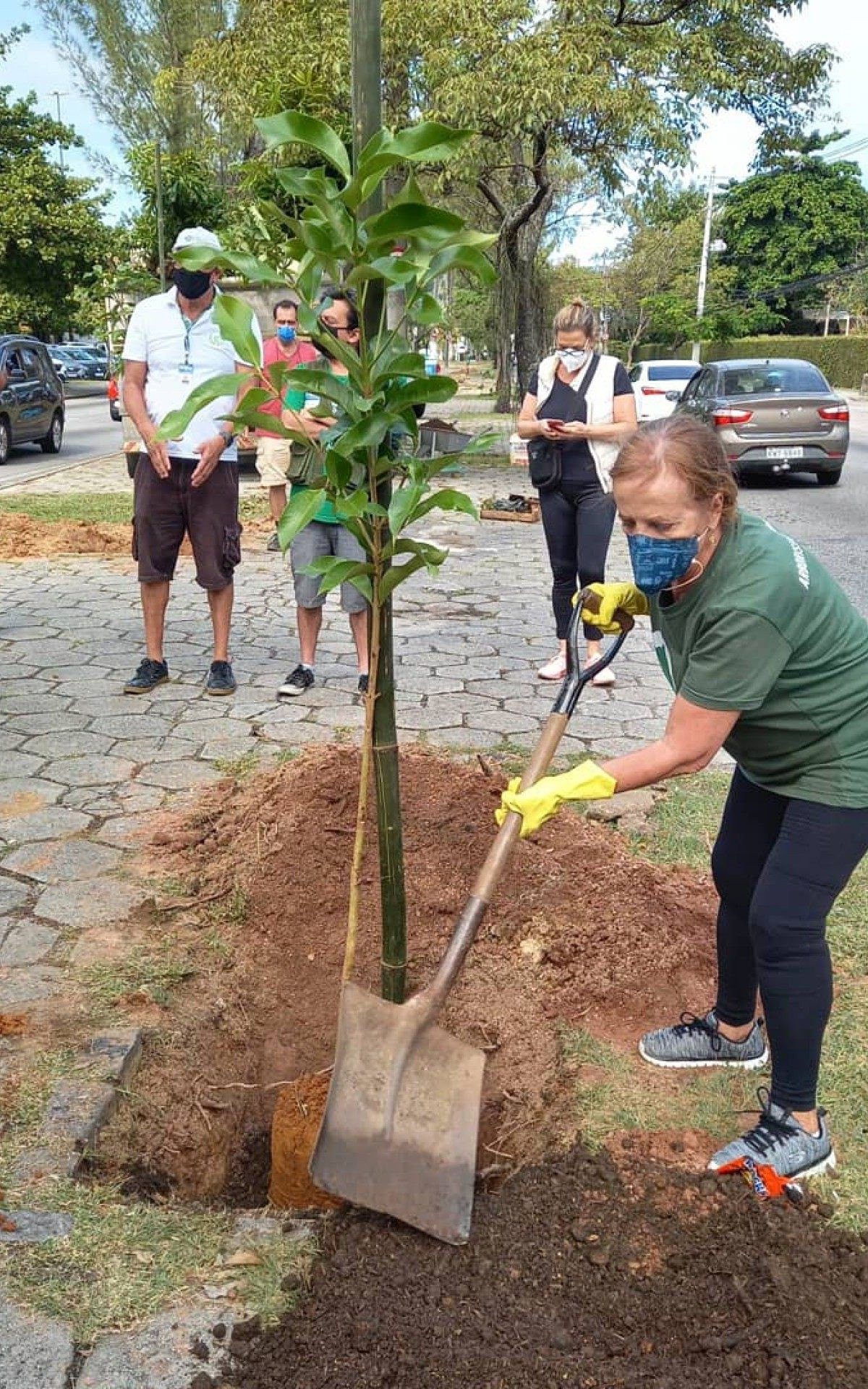 Canteiro da Avenida Borges de Medeiros ganhou árvores de manga ubá, jambo, nêspera, grumixama, guabiroba, graviola, carambola, seriguela, abiu amarelo, entre outras