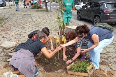 Lagoa terá cinturão verde de árvores frutíferas