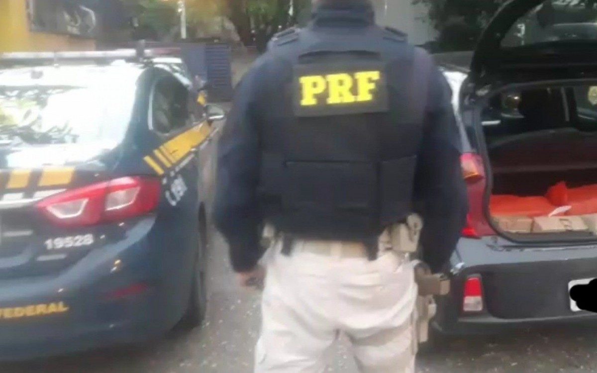 PRF prende homem que transportava pássaros silvestres ilegalmente - Divulgação / Polícia Rodoviária Federal