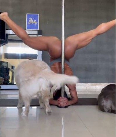 Gracyanne Barbosa - Reporter 03