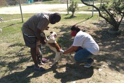 Vacinação antirrábica chega em mais bairros de Caxias; Veja os locais