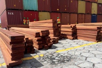 Estados unidos denunciou exportação ilegal de madeira pelo Brasil, mas foi ignorado