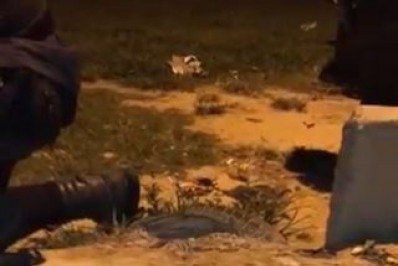 Dois criminosos são presos por tráfico de drogas em Duque de Caxias