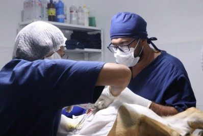 Programa de Assistência Médica Veterinária realiza atendimento para castração de animais em Quissamã