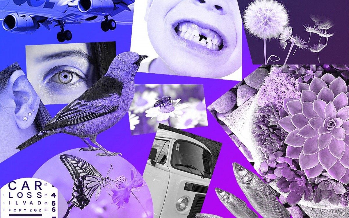 "Em que instantes passamos a dar raz&atilde;o somente ao caro e &agrave; ostenta&ccedil;&atilde;o e desprezamos a escuta, pura e simples, de momentos triviais?"