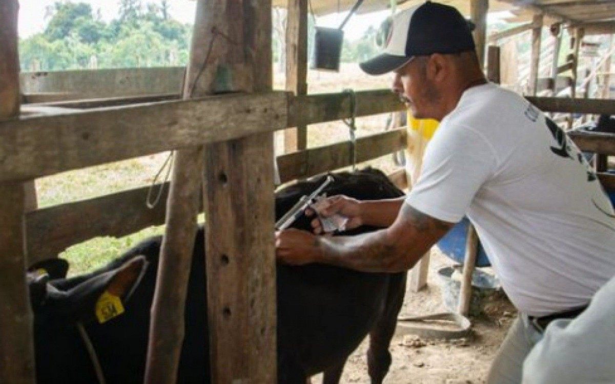 Sede da SMDR fica na Rua J&uacute;lia Graciani Marassi, no Centro
