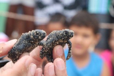 Última semana de inscrições para o Prêmio Firjan Ambiental 2021