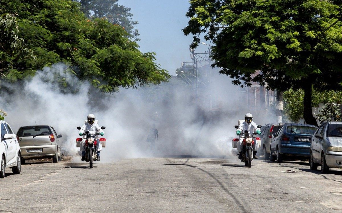 Top 5 da Covid em SG segue com Trindade, Coluband&ecirc;, Ita&uacute;na e Boa&ccedil;u, respectivamente. N&uacute;meros ajudam no planejamento de a&ccedil;&otilde;es direcionadas, como a intensifica&ccedil;&atilde;o da sanitiza&ccedil;&atilde;o