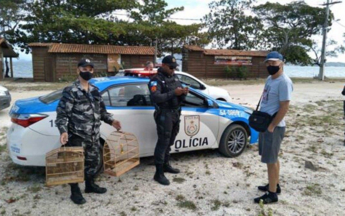 As aves foram libertadas na mata 