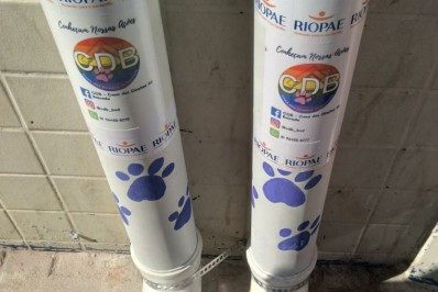 Belford Roxo receberá projeto de comedouros para animais de rua