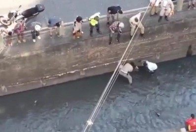 Vídeo: cadela é resgatada após cair em rio no Maracanã