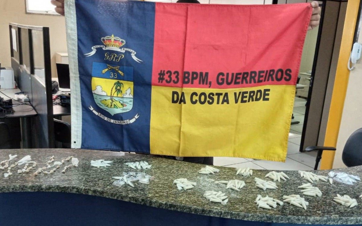 MATERIAL APREENDIDO: 188 pinos de cocaína e 73 pedras de crack
