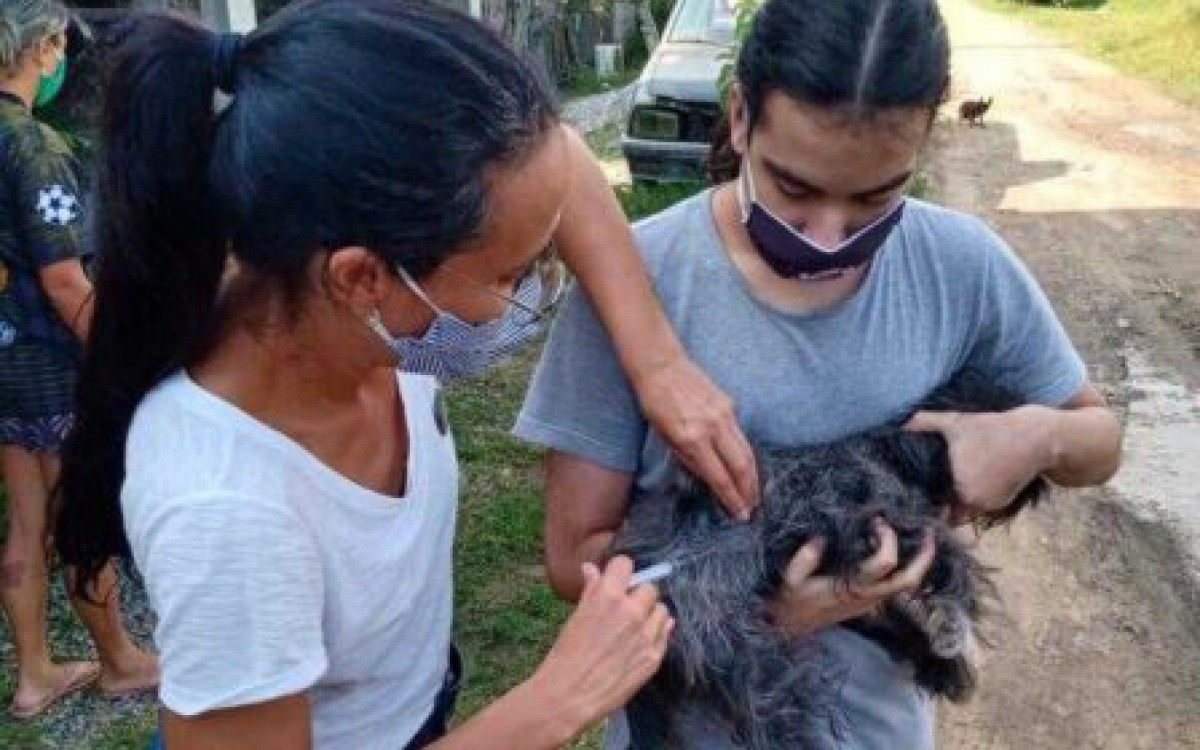 A raiva canina e felina, também conhecida como hidrofobia, é uma doença viral, incurável e fatal, também transmissível a seres humanos através da mordida dos animais domésticos.