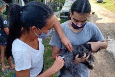 Campanha itinerante de vacinação antirrábica atende bairros afastados de São Pedro da Aldeia