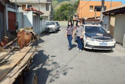 Homem suspeito de maus tratos a cavalo morto é preso no interior