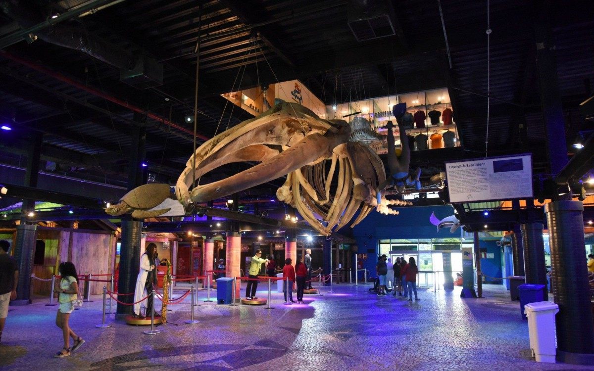 AquaRio &eacute; o maior aqu&aacute;rio da Am&eacute;rica do Sul