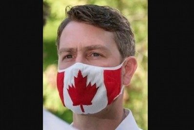 Político é flagrado urinando em sessão online do parlamento 