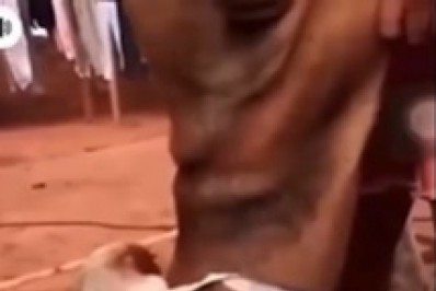 Polícia prende casal que torturou cachorro com bombinha 