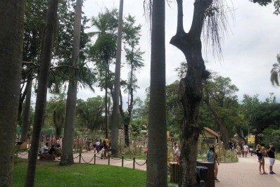 Polícia Civil prende 18 cambistas que vendiam ingressos do BioParque