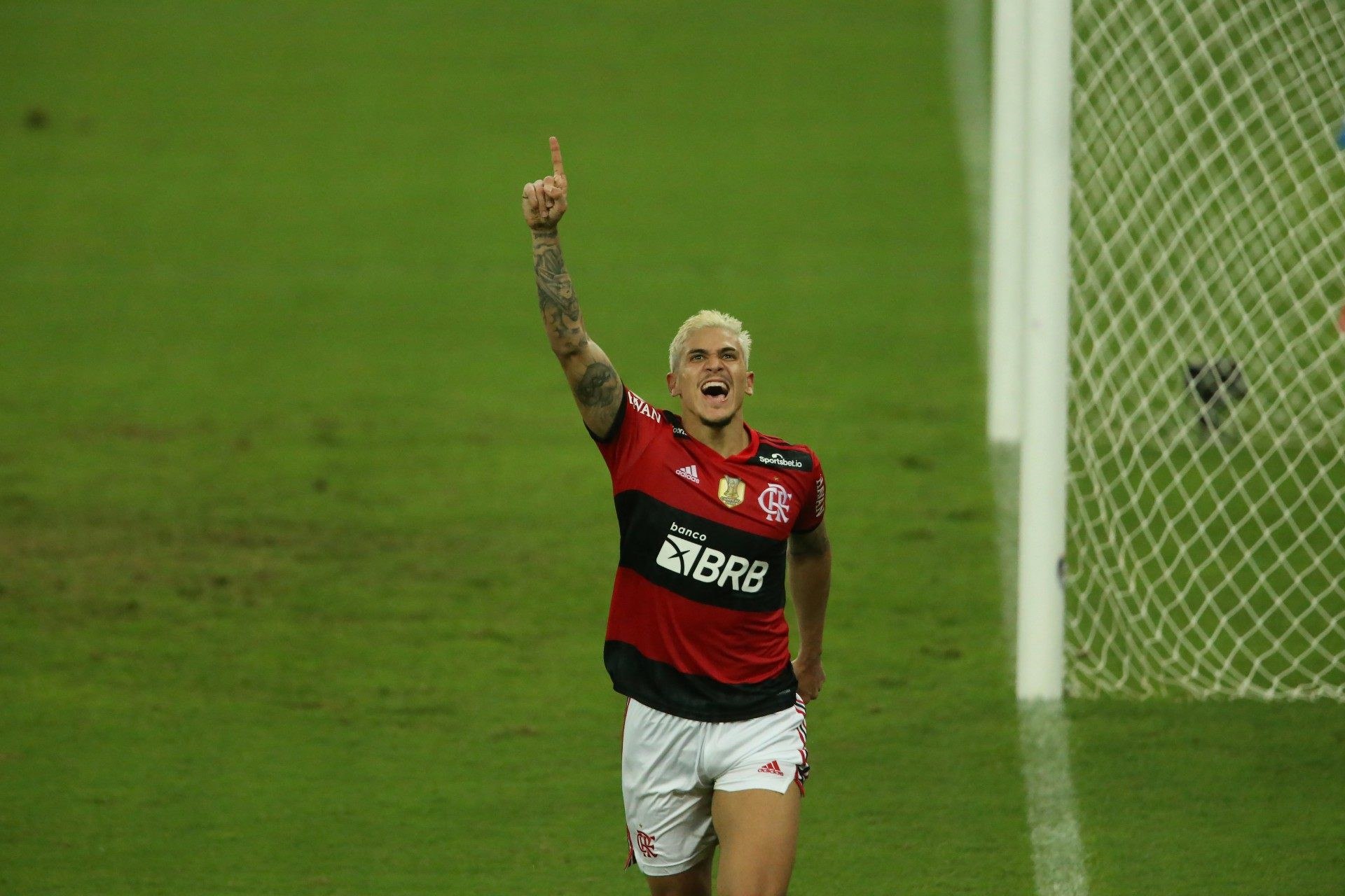 Pedro - Daniel Castelo Branco