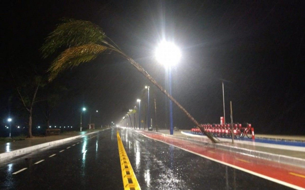 Foto registra uma palmeira que caiu na orla de Itaipua&ccedil;u na noite de domingo 30/05